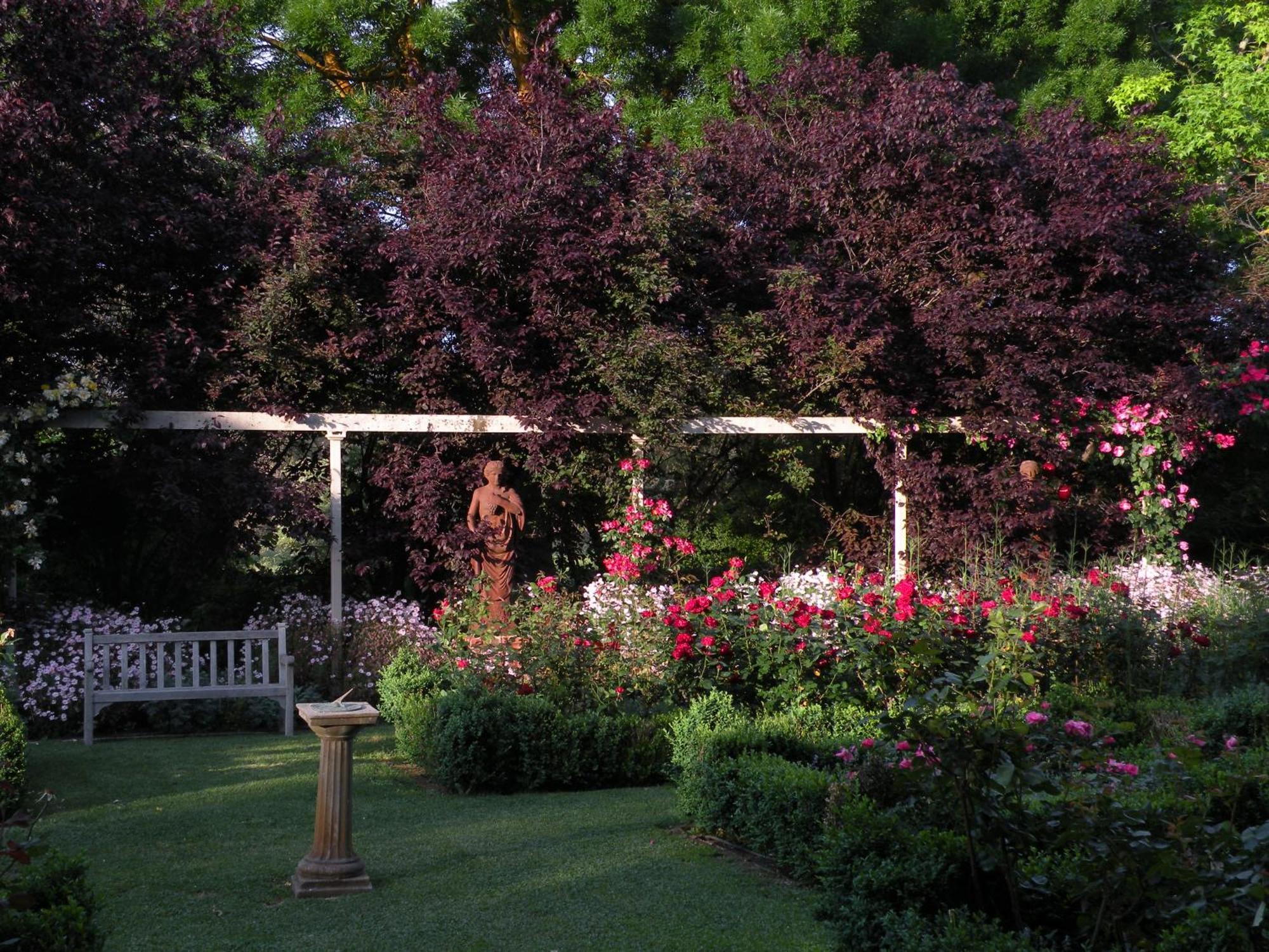 Bed and Breakfast Al Ru Farm One Tree Hill Екстер'єр фото