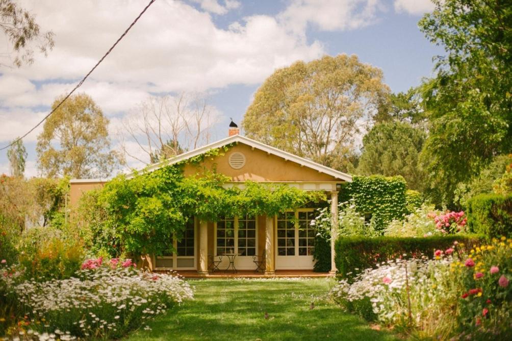 Bed and Breakfast Al Ru Farm One Tree Hill Екстер'єр фото